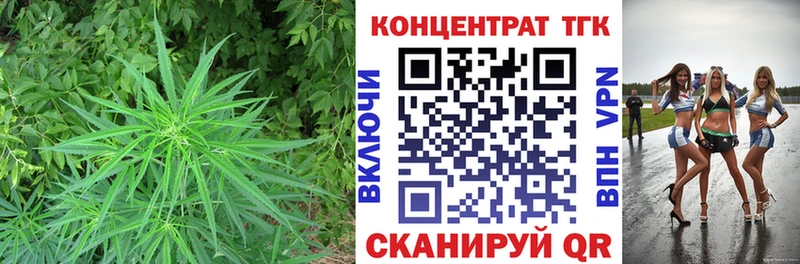 ТГК концентрат закладка блэк спрут ссылки Туран