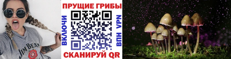 Псилоцибиновые грибы Psilocybe  Туран 